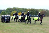 Atestacja policyjnych koni i kandydatów na jeźdźców