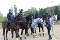 Atestacja policyjnych koni i kandydatów na jeźdźców