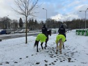 patrol konny w mieście zimowe warunki